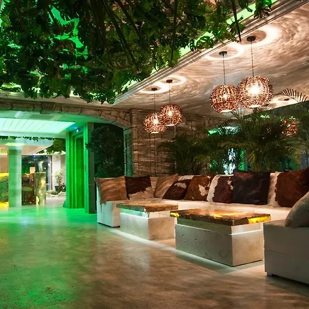 Harmony Jungle - Family Friendly Complex Slantchev Briag